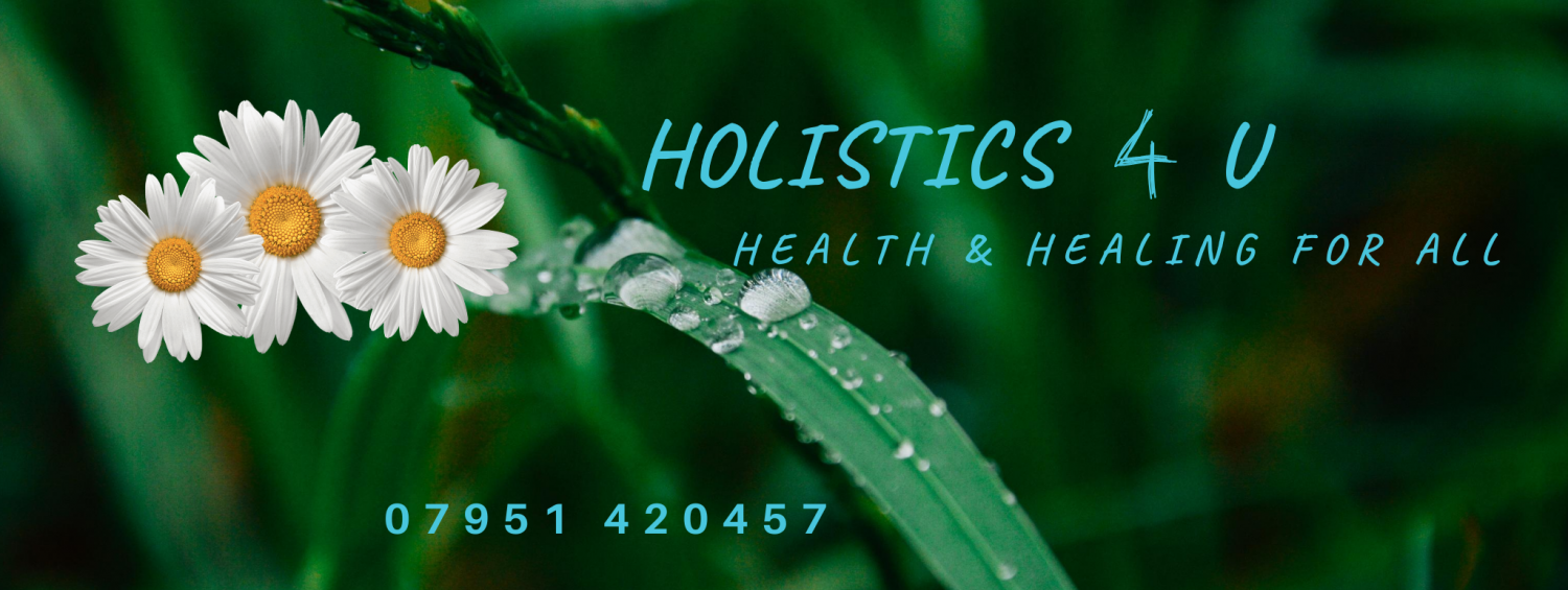 Holistics 4 U